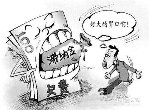 社保滯納金怎么算？ 第1張