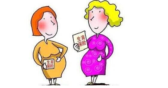 生育保險一個月交多少錢？ 第1張