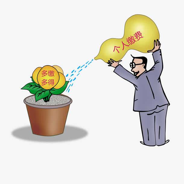 養老保險個人怎么交？繳費檔次是什么？ 第1張