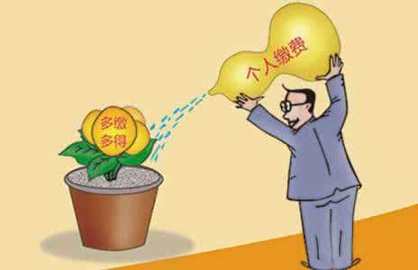 個(gè)人繳社保需要多少？應(yīng)該如何繳納？ 第1張