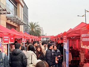 “百米小巷”人潮涌動！瑞方人力助力2025年武侯區(qū)春風行動專場招聘會“開門紅” 第5張